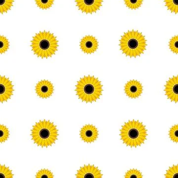 Seamless pattern yellow Sunflowers isolated on white background. Illustrazione stock