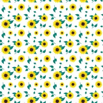 Seamless pattern with yellow sunflowers on white background. Stock Illustration