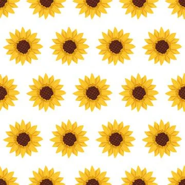 Seamless pattern with yellow sunflowers on white background Stock Illustration