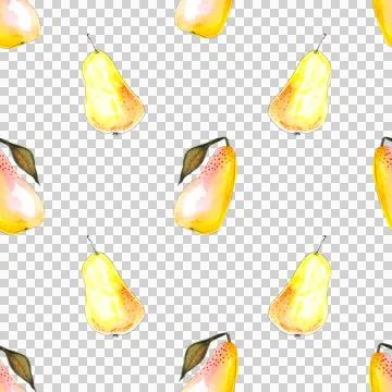 Seamless pattern of yellow watercolor pears, hand painted on white background Stock Illustration