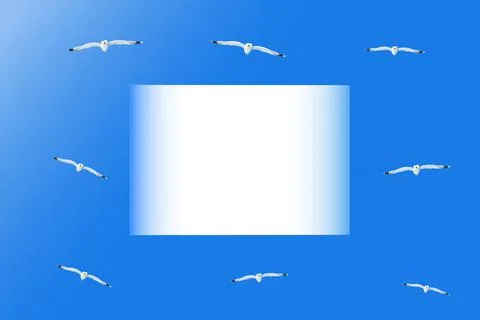 Seamless pattern with young seagulls in flight. pattrern isolated on blue. space Stock Photos