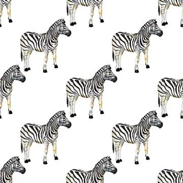 Seamless pattern with zebra Illustrazione stock
