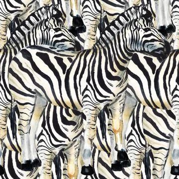Seamless pattern with zebra Stock-Illustration