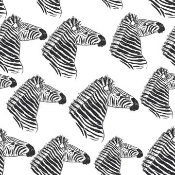 Seamless pattern Zebra portrait, Head sketch isolated on white background. Ve Stock Illustration