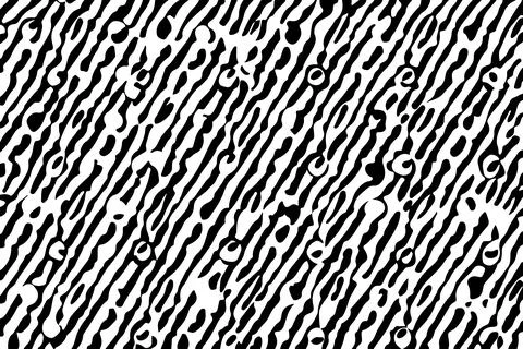 Seamless pattern with zebra print. Black and white background. Illustrazione stock