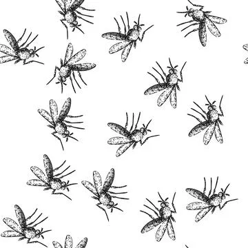 Seamless pattern zika mosquito sketch hand drawn Stock Illustration
