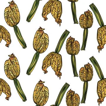 Seamless pattern with zucchini on white background. Stock Illustration