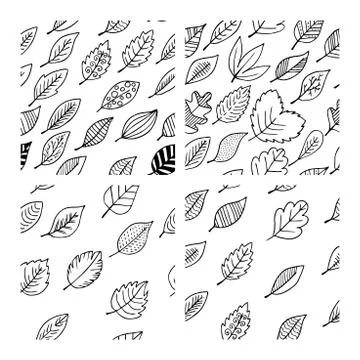 Seamless patterns of autumn leaves. Elegant and beautiful leaflets Stock Illustration