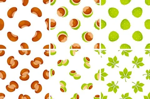 Seamless patterns with chestnuts showing the peel, the fruit, the leaves and the 스톡 일러스트