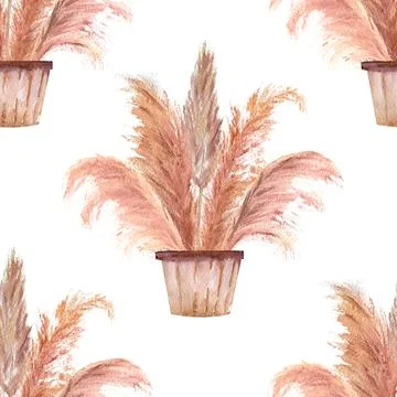 Seamless patterns with pampas grass in pots in the boho style on a white Ilustración de archivo