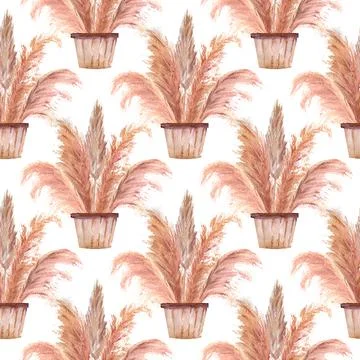 Seamless patterns with pampas grass in pots in the boho style on a white Stock Illustration