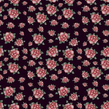 Seamless patterns. Pink rose flower with leaves on a black background. Waterc Stock Illustration