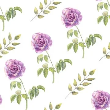 Seamless patterns with purple roses and anemones on a white isolated background Stock Illustration