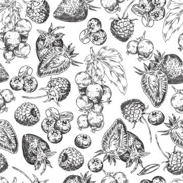 Seamless pencil pattern of wild berries for textiles. イラスト素材