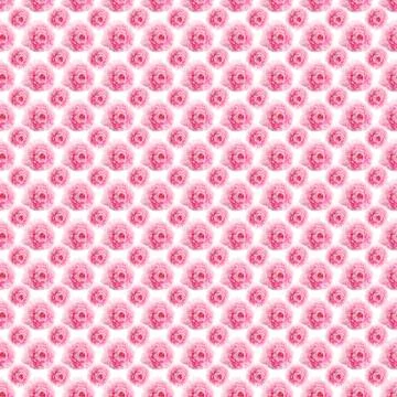 Seamless peony background Stock Photos