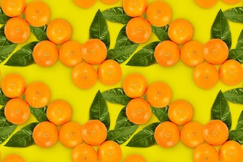 Seamless photo texture pattern of orange fruits. Stock Photos
