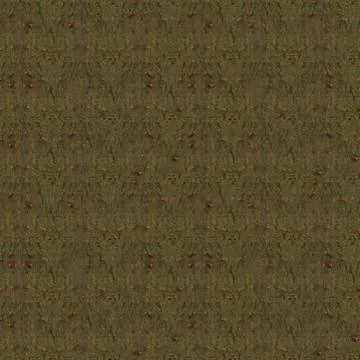 Seamless photo texture of tree cortex Stock Photos
