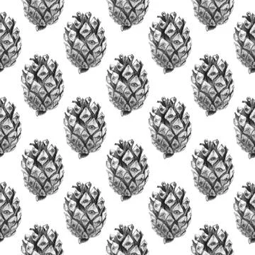 Seamless Pine Cones Pattern Illustrazione stock