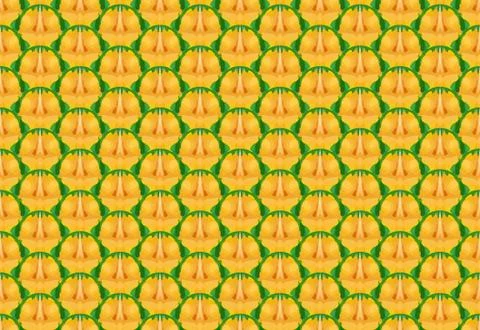 Seamless pineapple texture and pattern, vector Stock Illustration