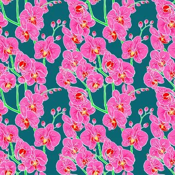 Seamless pink orchids Stock Illustration