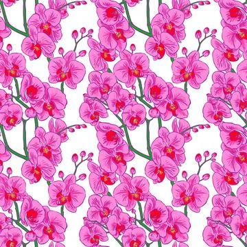 Seamless pink orchids Stock Illustration