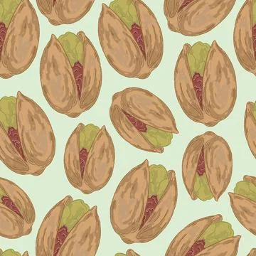 Seamless Pistachio Pattern Vector Hand Drawn Mediterranean Style Nuts Backgro Illustrazione stock