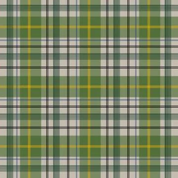 Seamless plaid line pattern design Stock Illustration