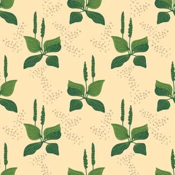 Seamless plantain pattern Illustrazione stock