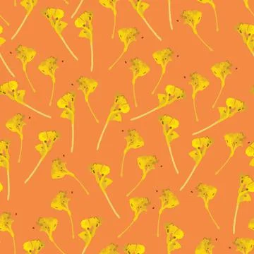 Seamless plants pattern background with yellow tiny flowers , greeting card o Stock Illustration