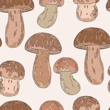 Seamless Porcini Mushroom Pattern Vector Hand Drawn Mediterranean Style Wild  Illustrazione stock
