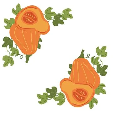 Seamless pumpkin and vine pattern with green leaves on white background Stock Illustration