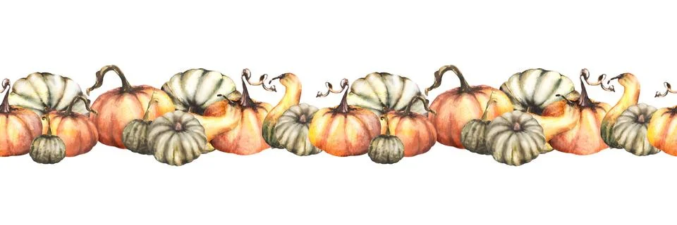 Seamless pumpkins border. Isolated white background. Watercolor autumn Stock Illustration