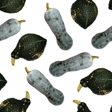 Seamless pumpkins pattern. Grey and dark green pumpkins. Stock Photos