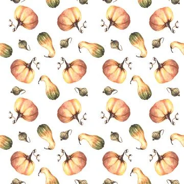 Seamless pumpkins pattern. Isolated white background. Watercolor autumn ill.. Stock Illustration