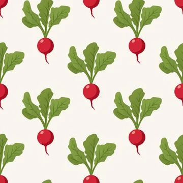 Seamless Radish Pattern, Vector Illustration. Fresh Vegetable Background for 스톡 일러스트