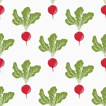 Seamless Radish Pattern, Vector Illustration. Fresh Vegetable Background for 스톡 일러스트