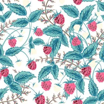 Seamless raspberry pattern. Cute hand drawing raspberry background in blue brown Illustrazione stock