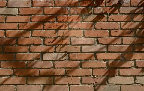 Seamless red brick wall texture with mortar joints background Stock Photos