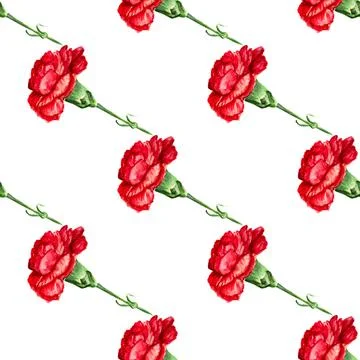 Seamless red carnation Stock Illustration