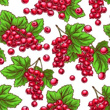 Seamless red currants Stock Illustration