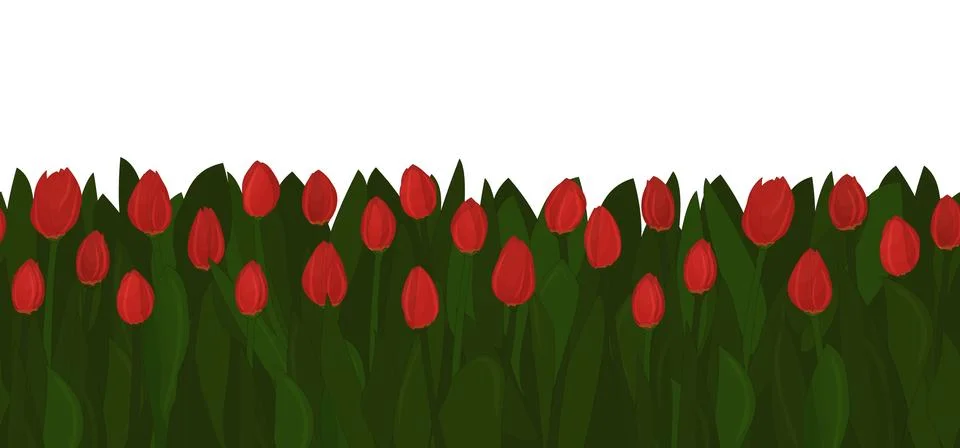 Seamless repeat border of red tulips. Flowers on white background Stock Illustration