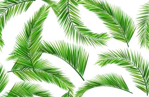 Seamless repeat coconut leaves Stock Illustration