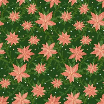 Seamless repeat pattern with spruce sprigs and poinsettia flowers. Lovely hand イラスト素材