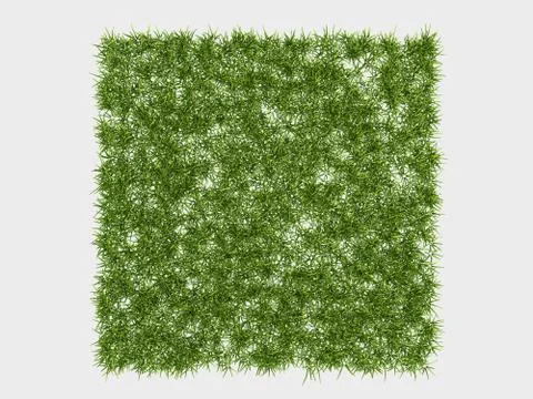 Seamless repeatable pattern 3d rendering of a grass patch for architectural o Stock Illustration