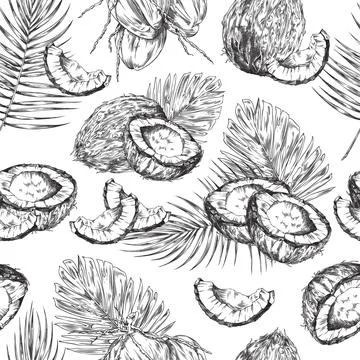 Seamless repeatable pattern with coconuts engraving vector illustration. Stock Illustration