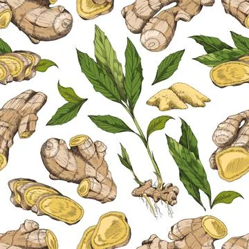 Seamless repeatable pattern with ginger plant, hand drawn vector illustration. 스톡 일러스트