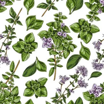 Seamless repeatable pattern with italian oregano sketch vector illustration. イラスト素材