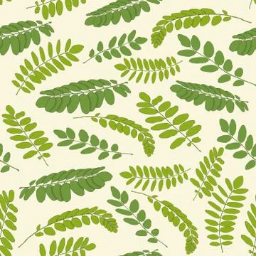 Seamless repeating pattern acacia Stock Illustration
