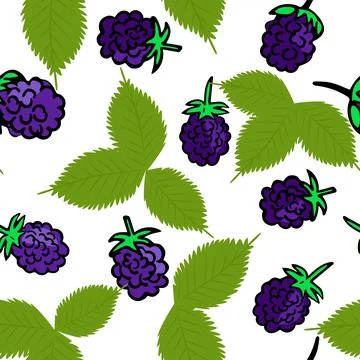 Seamless repeating pattern with blackberries. Berries and leaves, solid Stock Illustration