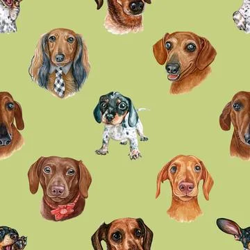 Seamless repeating pattern with cute dachshunds Illustrazione stock